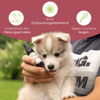 Eine Person hält einen flauschigen Welpen und eine Tropfflasche, mit Text, der heilende Unterstützung, entzündungshemmend und Linderung bei trockenen Augen hervorhebt.