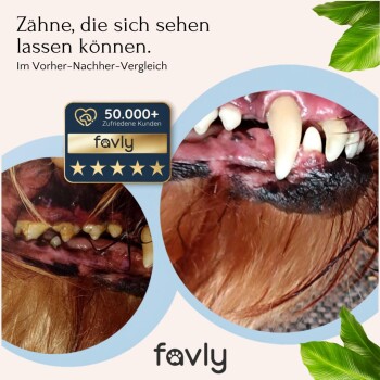 Eine Frau mit einem Beagle im Freien, mit Sprechblasen: "Gut verträglich," "Hohe Akzeptanz," "Zehntausende glückliche Hundeltern."