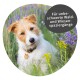 Ein Hund sitzt in einem Feld mit Wildblumen, mit einer Sprechblase, die sagt: "Für unbeschwerte Wald- und Wiesen-spaziergänge."