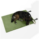 Ein schwarz-brauner Hund liegt friedlich auf einer grünen Haustiermatte mit Riemen, vor einem weißen Hintergrund.