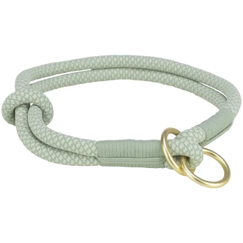 Een lichtgroene gevlochten hondenhalsband met een decoratieve knoop en twee gouden ringen, die een stijlvolle en duurzame uitstraling heeft.