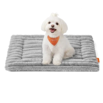 Kleiner weißer Hund mit orangefarbenem Halstuch sitzt auf einem grauen Plüsch-Haustierbett mit einem orangefarbenen Etikett.