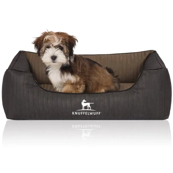 Orthopädisches Hundebett Outback aus laser-gestepptem Kunstleder schwarz/ gelb M-L Ein kleiner, flauschiger Hund sitzt bequem in einem stilvollen, dunkelgrauen Haustierbett mit einem hellbraunen Innenraum, das das Logo "KNUFFELWUFF" trägt.