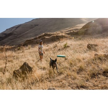 Eine Person wirft einen grünen Frisbee auf einer grasbewachsenen Fläche, während ein schwarzer Hund aufgeregt läuft, um ihn zu fangen, mit Bergen im Hintergrund.