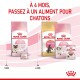 Image des produits de nourriture pour chat Royal Canin : "Mother & Babycat," "Maine Coon," et "Kitten," avec une note pour changer à 4 mois.