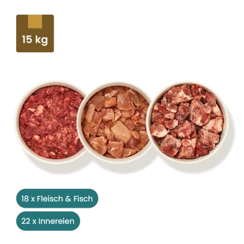 Rohes Hundefutter-Sortiment mit 16 Packungen Fleisch, 22 Packungen Innereien und 2 Packungen Fisch, mit sichtbaren Zutatenetiketten.