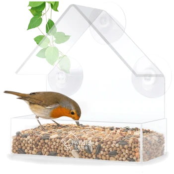 Rotkehlchen mit orangefarbener Brust frisst Samen aus einem klaren Fenstersaugnapf-Futterspender mit der Beschriftung wildlife home.