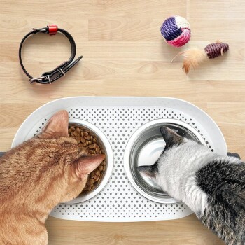 Vogelperspektive: Orange getigerte Katze frisst, grau-weiße Katze trinkt aus Edelstahlnäpfen auf einer perforierten Matte; Spielzeug und Halsband in der Nähe.