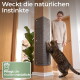 Getigerte kratzt an grauem Pad an Holzpfosten; Text: Weckt die natürlichen Instinkte und Pflegt die Krallen natürlich.