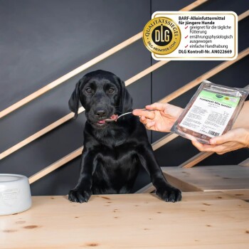 Schwarzer Labradorwelpe am Tisch wird mit einem Löffel aus verpacktem BARF-Hundefutter gefüttert; Etikett zeigt DLG‑Qualitätssiegel.