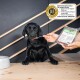 Schwarzer Labradorwelpe am Tisch wird mit einem Löffel aus verpacktem BARF-Hundefutter gefüttert; Etikett zeigt DLG‑Qualitätssiegel.