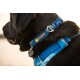 Eine Nahaufnahme eines schwarzen Hundes, der ein blaues Ruffwear-Halsband und ein Geschirr trägt, mit einem Anhänger mit dem Ruffwear-Logo.