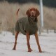 Ein brauner Hund trägt einen gemütlichen, übergroßen olivgrünen Hoodie und steht an einem sandigen Strand, mit hohem Gras und einem Pfosten im Hintergrund.