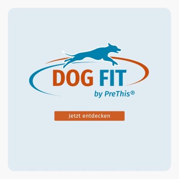 DOG FIT-Logo: springender blauer Hund mit orange-blauem Schwung, Text 'DOG FIT by PreThis®' und orangefarbener Button 'Jetzt entdecken'.