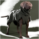 Kleiner brauner Hund mit olivgrünem Sherpa-Fleece-Mantel mit Kapuze, stehend vor einem passenden grünen Hintergrund.