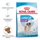 Sac de nourriture pour chiens Junior Giant de Royal Canin avec un Saint-Bernard, promouvant la santé immunitaire, la croissance musculaire et une taille de croquette adaptée.