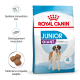 Sac de nourriture pour chiens Junior Giant de Royal Canin avec un Saint-Bernard, promouvant la santé immunitaire, la croissance musculaire et une taille de croquette adaptée.