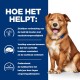 Een bruine hond zit tegen een blauwe achtergrond met tekst over voordelen voor honden met voedselgevoeligheden, zoals verbeterde huid en minder krabben.