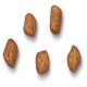 Five pieces of brown, crunchy pet food kibble scattered on a white background.