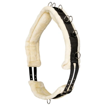 Schwarzes und cremefarbenes Haustiergeschirr mit weicher Polsterung und mehreren Metall-D-Ringen zur Leinenbefestigung.