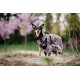 Visibility Raincoat Lite leo 65 cm
