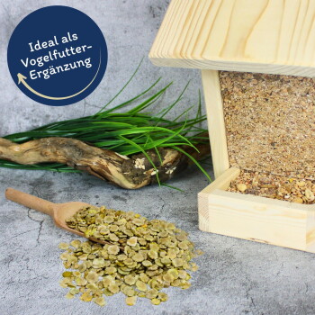 Holz-Vogelfutterspender mit grünem Vogelfutter in einer Schaufel, umgeben von Gras und Treibholz; Text: "Ideal als Vogelfutter-Ergänzung."