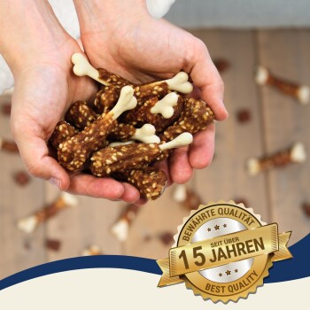 Hände halten hundeknochenförmige Leckerlis mit einem "Beste Qualität"-Abzeichen und "15 Jahre", was 15 Jahre vertrauenswürdige Qualität anzeigt.