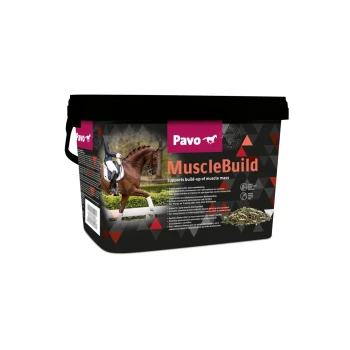 Pavo MuscleBuild Pferdeergänzungstube, die ein Pferd und einen Reiter in Aktion zeigt, mit dem Text "unterstützt den Aufbau von Muskelmasse."