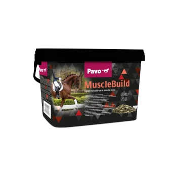 Pavo MuscleBuild Pferdeergänzungstube, die ein Pferd und einen Reiter in Aktion zeigt, mit dem Text "unterstützt den Aufbau von Muskelmasse."