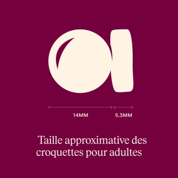 Diagramme des tailles de croquettes : rond 14 mm et rectangulaire 5,3 mm. Texte : 'Taille approximative des croquettes pour adultes'