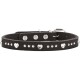 Schwarzes Lederhalsband für Haustiere mit silbernen herzförmigen und runden Nieten, Metallschnalle und Druckknöpfen.