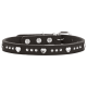 Schwarzes Lederhalsband für Haustiere mit silbernen herzförmigen und runden Nieten, Metallschnalle und Druckknöpfen.