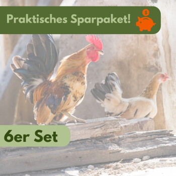 Hahn und Henne auf Holzstämmen mit grünen Bannern: "Praktisches Sparpaket!" und "6er Set".