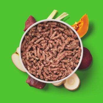 Schüssel mit Tierfutter mit braunen Fleischstücken, frischen Apfelscheiben, Kürbis und Rüben auf einem hellgrünen Hintergrund.