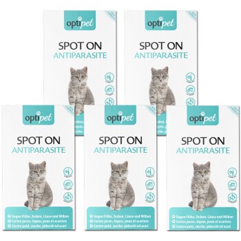 Spot on für Katzen
