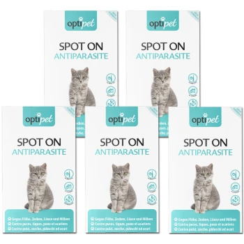 Fünf Boxen "optipet SPOT ON ANTIPARASITE" mit einer grauen Katze, mit mehrsprachigem Text zum Schutz vor Flöhen, Zecken und Milben.
