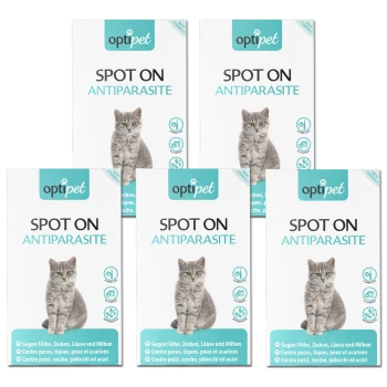 Fünf Boxen "optipet SPOT ON ANTIPARASITE" mit einer grauen Katze, mit mehrsprachigem Text zum Schutz vor Flöhen, Zecken und Milben.