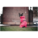 Ein Hund in einem leuchtend pinken Regenmantel mit Kapuze sitzt auf Gras und schaut zurück zur Kamera, vor einem verschwommenen urbanen Hintergrund.