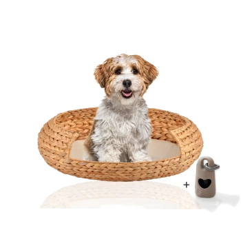 Ein flauschiger Hund sitzt in einem runden, geflochtenen Haustierbett mit einem weichen Kissen, begleitet von einem kleinen grauen Accessoire mit einem Herz-Ausschnitt.