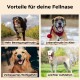 Vier Bilder von glücklichen Hunden, beschriftet: "Mehr Freude an Bewegung," "Freude im Alter," "Verbessertes Wohlbefinden," und "Einfacher Aufstehen."