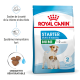 Sac de nourriture pour chiens Royal Canin Starter Mother & Babydog Mini avec deux petits chiens, mettant l'accent sur le soutien à la santé et la force immunitaire.