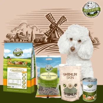 Ein weißer Pudel sitzt neben BELLEFOR Haustierfutterprodukten, mit einer Windmühle und einer ländlichen Illustration im Hintergrund.