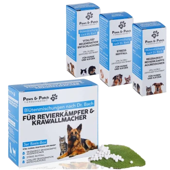 Paws & Patch Tierheilmittel-Schachteln mit deutschen Etiketten ('Für Revierkämpfer & Krawallmacher'), Hunde- und Katzenfoto, grünes Blatt mit weißen Pellets