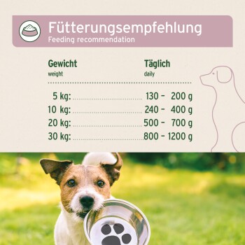 Fütterungstabelle für Hunde: tägliche Futtermenge nach Gewicht - 5 kg (130-200 g), 10 kg (240-400 g), 20 kg (500-700 g), 30 kg (800-1200 g).