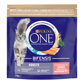 Sac de nourriture pour chat Purina ONE Bifensis pour adulte avec chat tigré et saumon, montrant les textes «PURINA ONE», «BIFENSIS», «ADULTE».