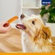 Ein Golden Retriever schaut gespannt zu einer Hand auf, die einen Hundesnack hält, mit einer gemütlichen Inneneinstellung im Hintergrund. Vitakraft-Logo sichtbar.