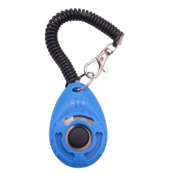 Smart Clicker blau