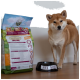 Ein Hund steht neben einer schwarzen Futterschüssel mit der Aufschrift "BELLFOR", neben einem Sack Hundefutter mit bunten Grafiken und Nährwertinformationen.