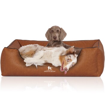 Hundebett Henderson aus marmoriertem Kunstleder terracotta XXL
