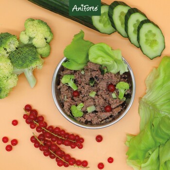 Nassfutter GreenfieldTurkey Pute 6 x 400 g 400 g